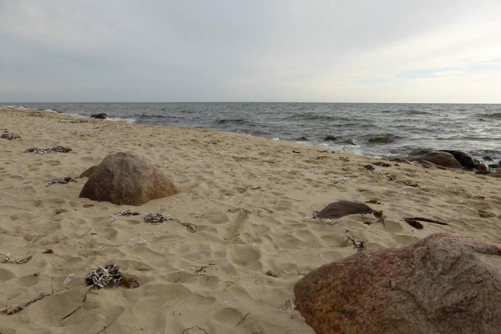 Oak Cottage Near Ronne & Beach المظهر الخارجي الصورة